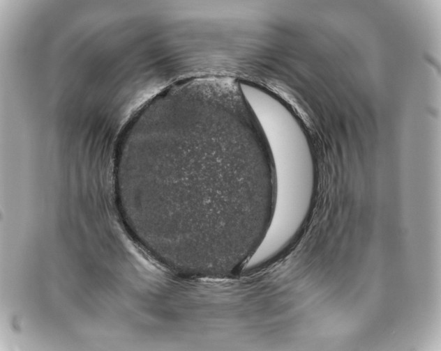 X0000096480677200802071920