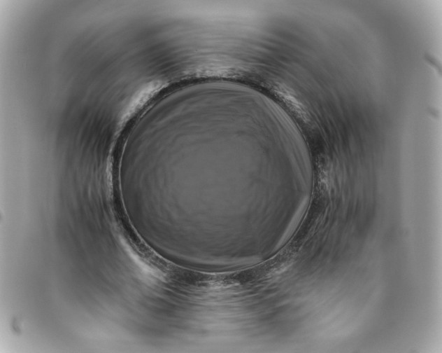 X0000096480678200802071920