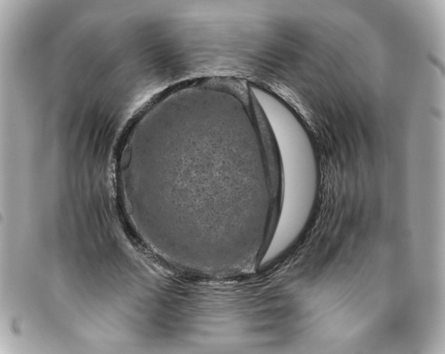 X0000096480680200802071920