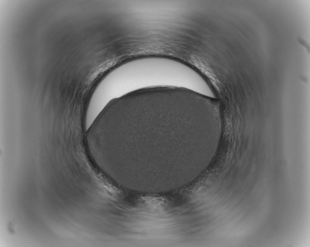 X0000096480681200802071920