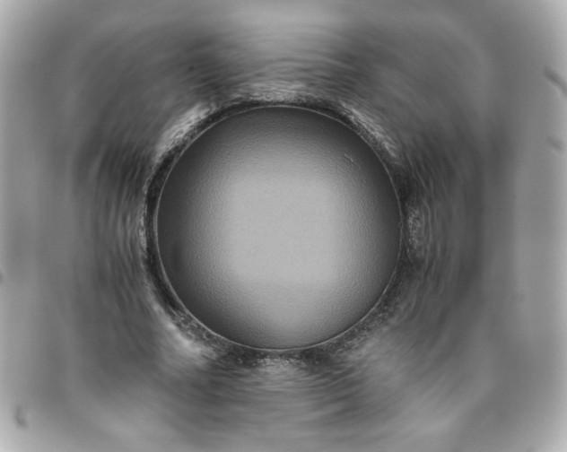 X0000096480682200802071920