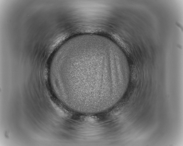 X0000096480683200802071920