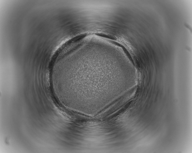 X0000096480684200802071920