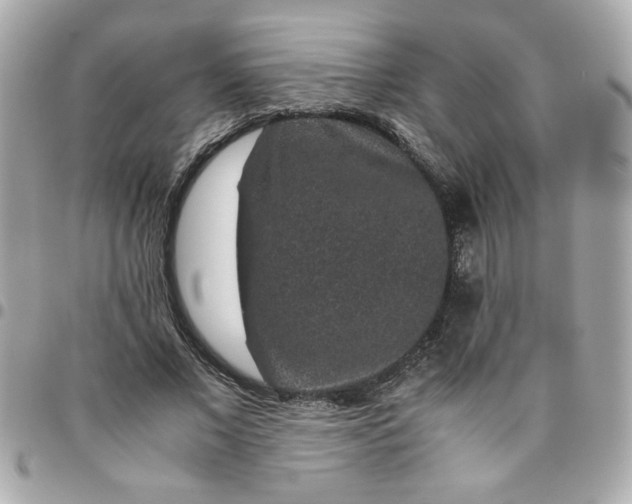 X0000096480685200802071920