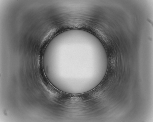 X0000096480686200802071920