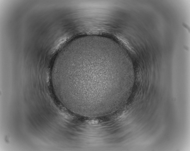 X0000096480687200802071920