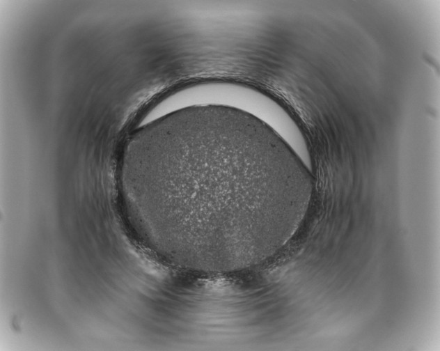 X0000096480688200802071920