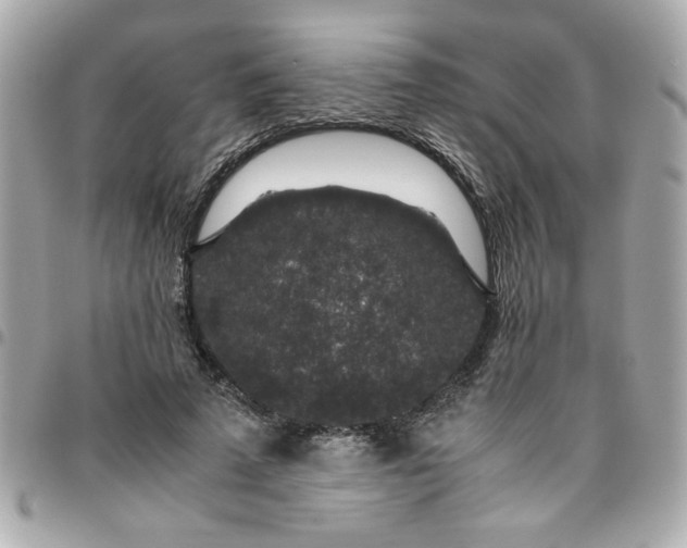 X0000096480689200802071920