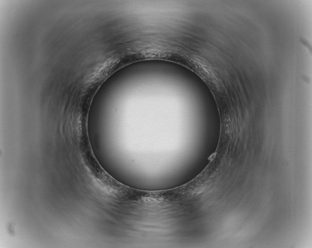 X0000096480690200802071920