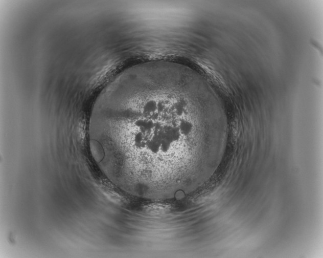 X0000096480691200802071920