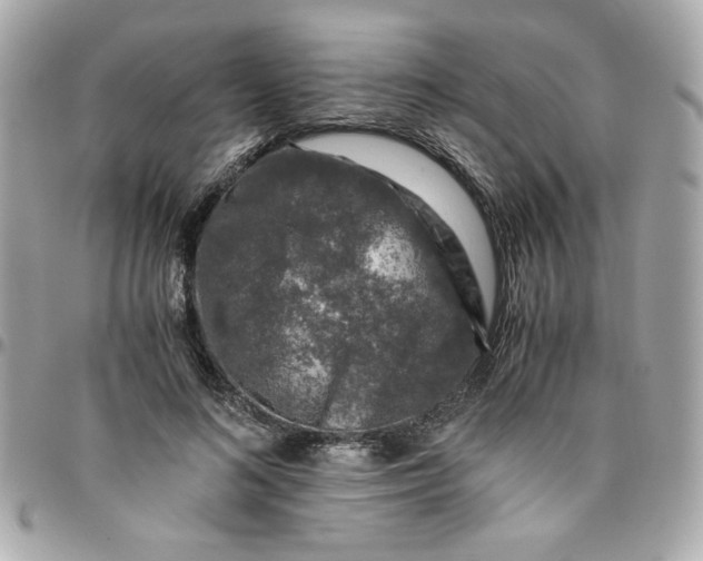 X0000096480692200802071920