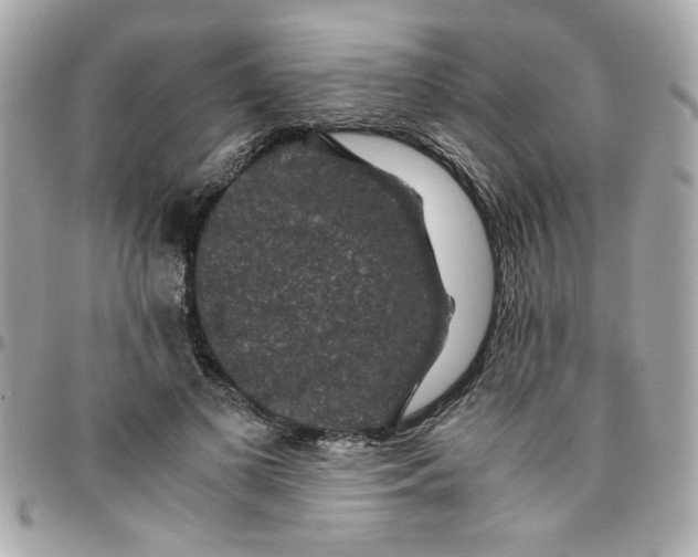 X0000096480693200802071920