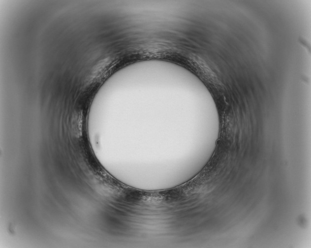 X0000096480694200802071920