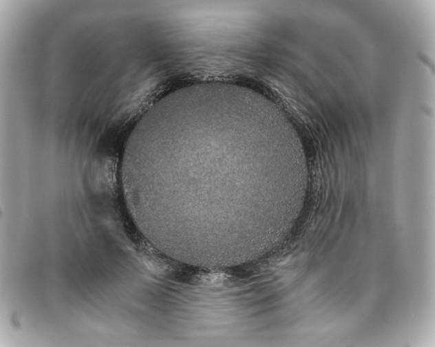 X0000096480695200802071920