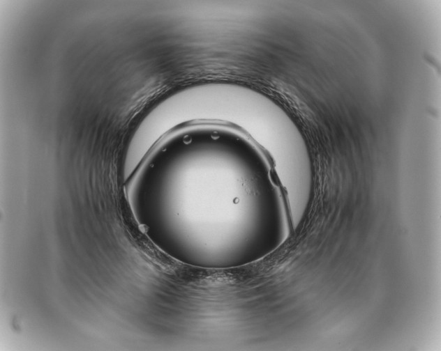 X0000096480696200802071920