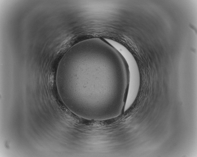 X0000096480697200802071920