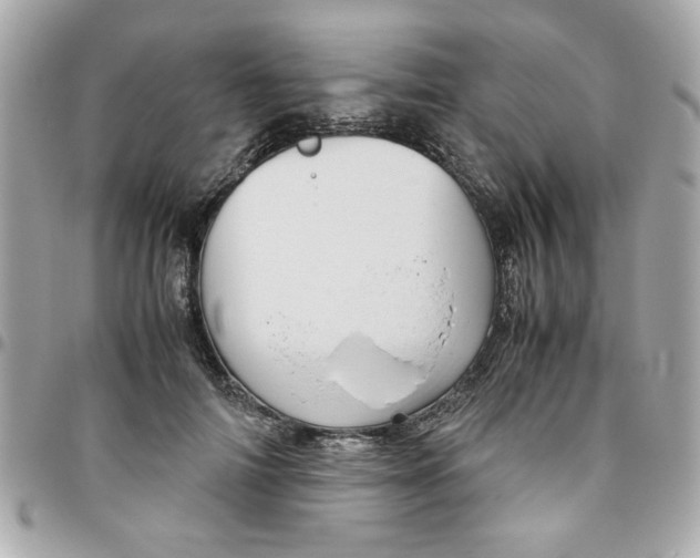 X0000096480698200802071920