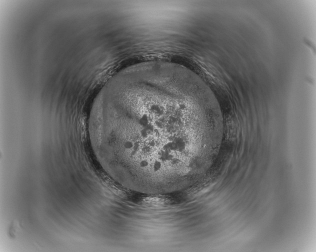 X0000096480699200802071920