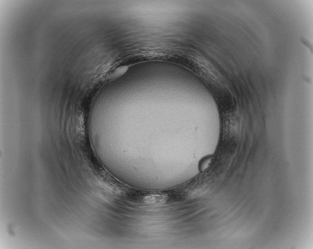 X0000096480700200802071920