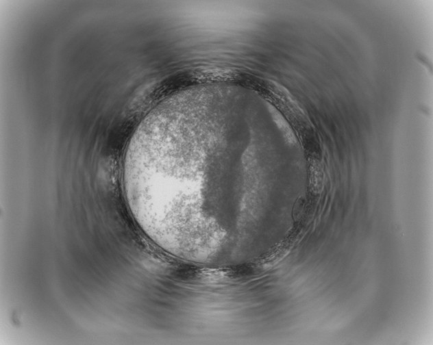 X0000096480701200802071920