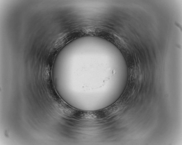 X0000096480702200802071920