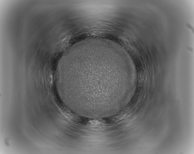 X0000096480703200802071920