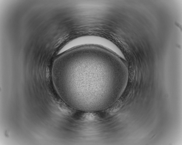 X0000096480704200802071920