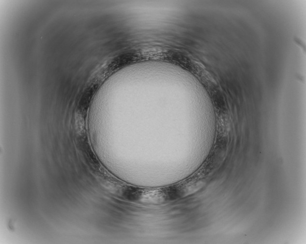 X0000096480705200802071920