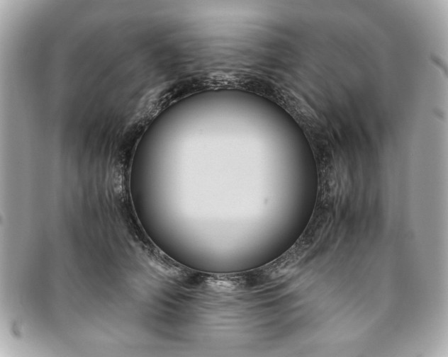 X0000096480706200802071920