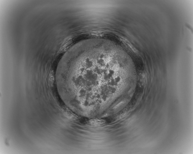 X0000096480707200802071920