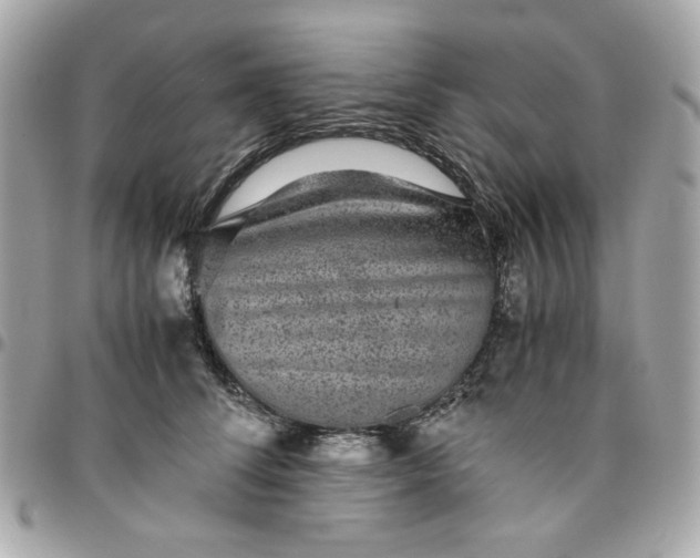 X0000096480708200802071920