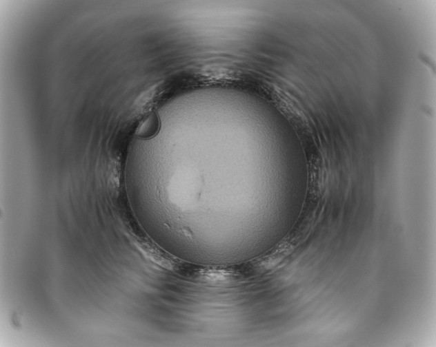 X0000096480710200802071920