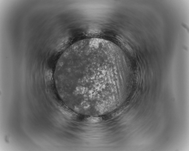 X0000096480711200802071920