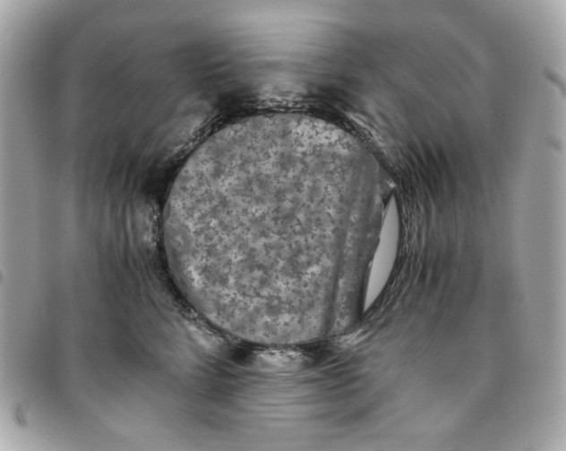 X0000096480712200802071920