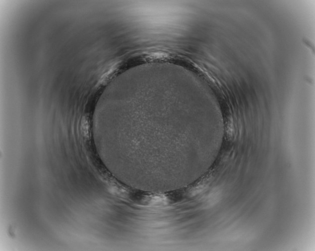 X0000096480715200802071920