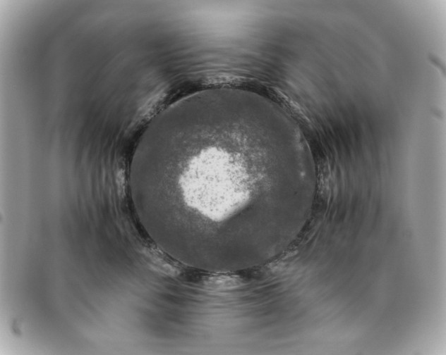 X0000096480716200802071920