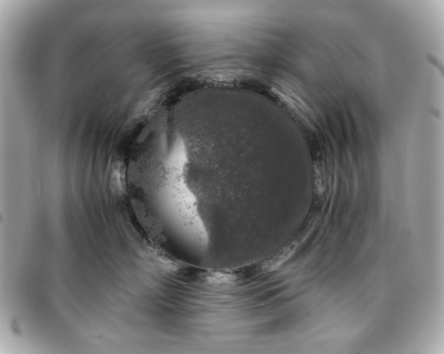 X0000096480718200802071920