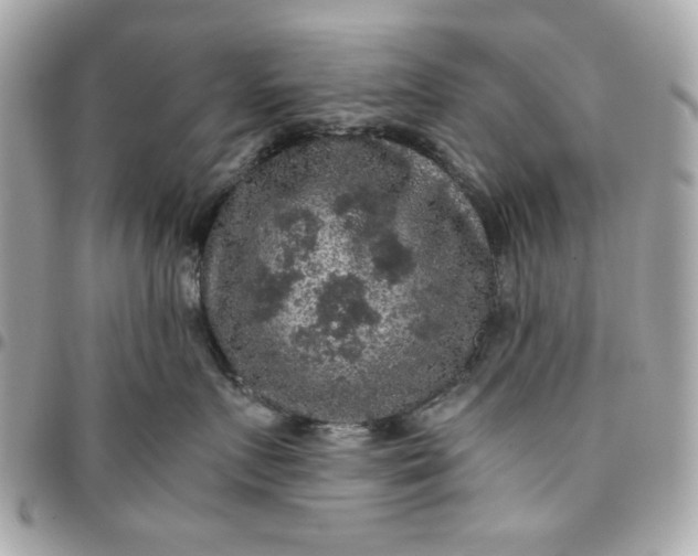 X0000096480719200802071920