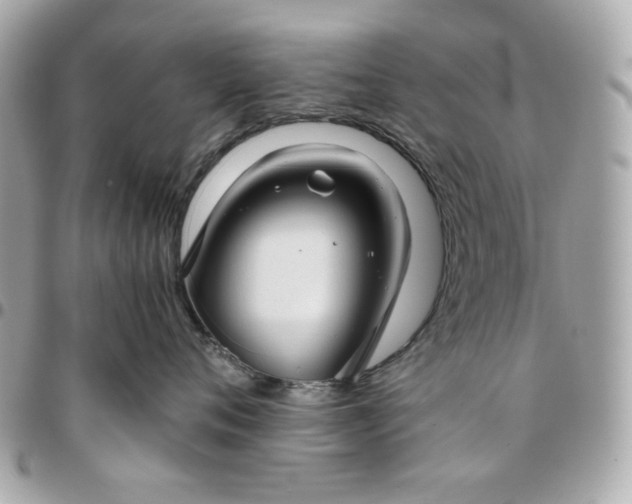 X0000096480720200802071920