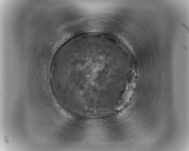 X0000096480721200802071919