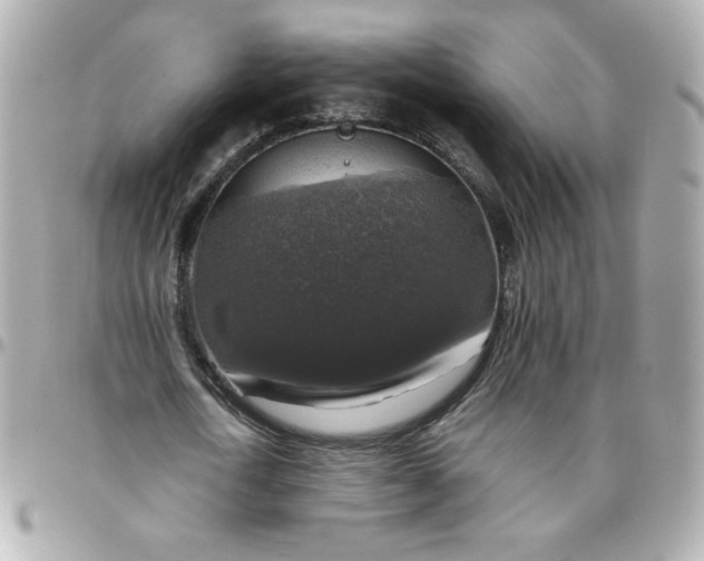 X0000096480722200802071919