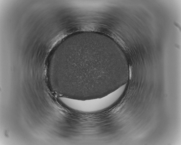 X0000096480723200802071919