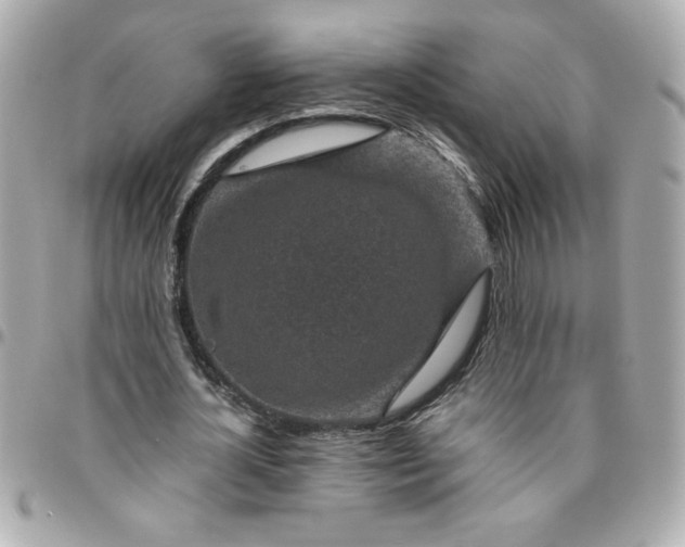 X0000096480724200802071919