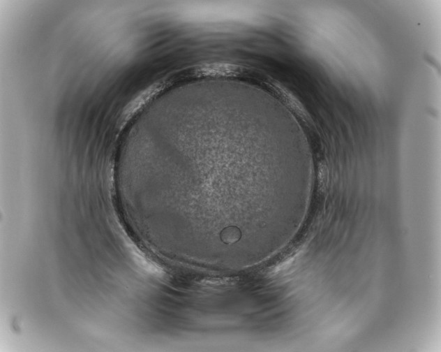 X0000096480725200802071919