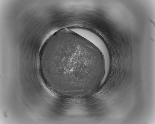 X0000096480726200802071919