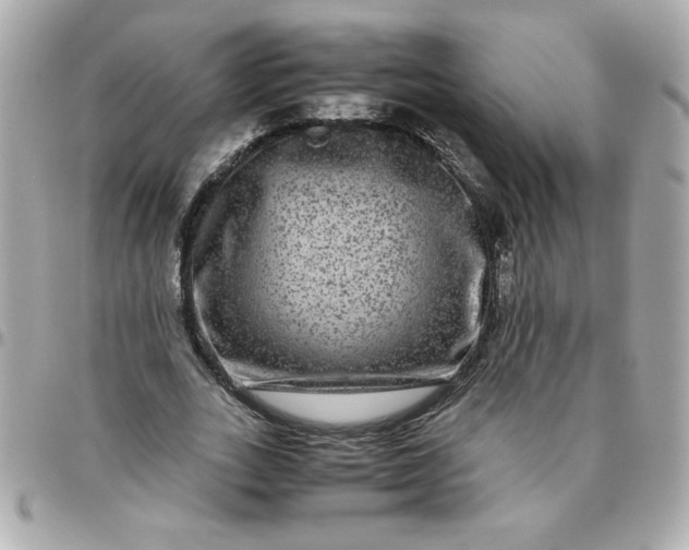 X0000096480727200802071919