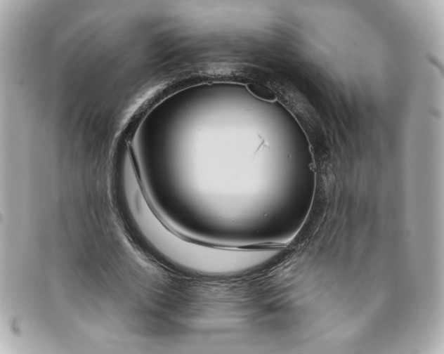 X0000096480728200802071919