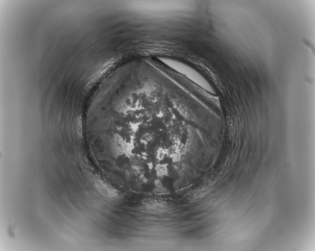 X0000096480729200802071919