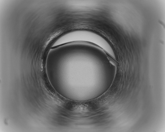 X0000096480731200802071919