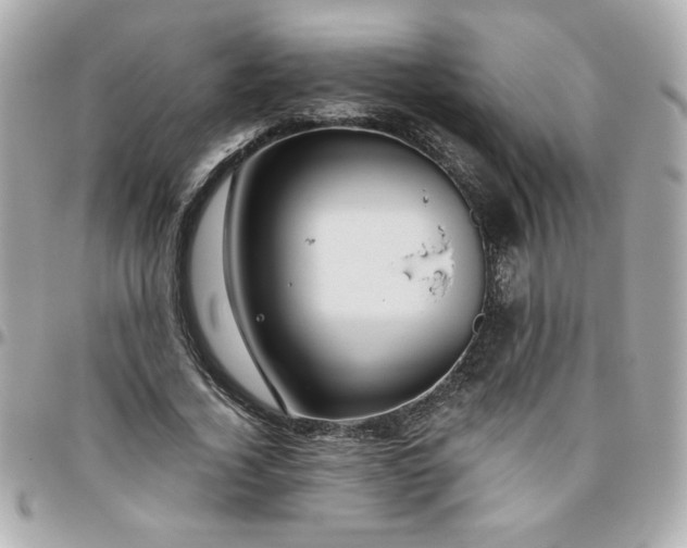 X0000096480732200802071919